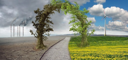 cambio_climatico-1-520x245